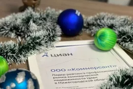Год профессионального признания